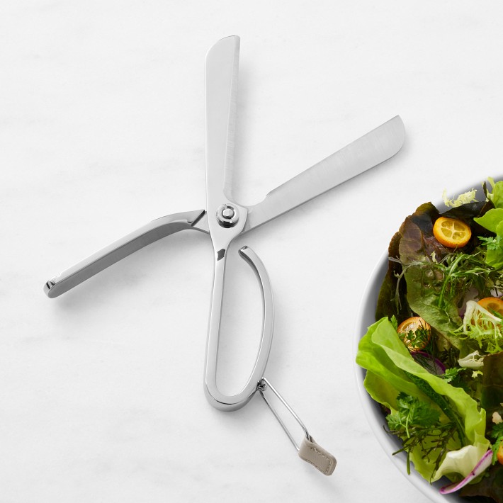 Williams Sonoma Stainless-Steel Salad Spinner