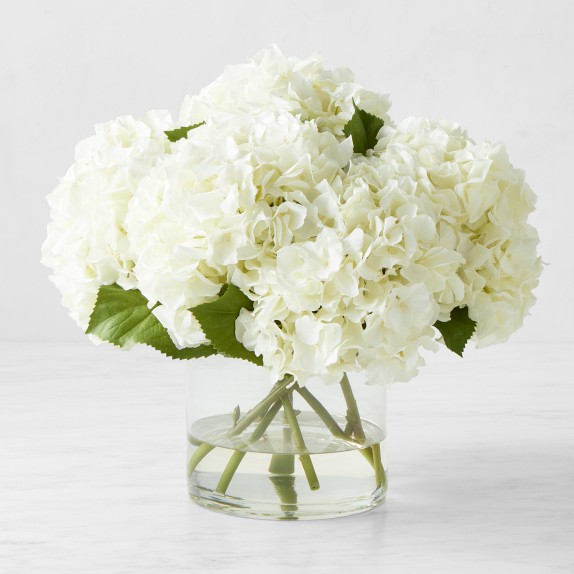 Faux White Hydrangea in Glass Vase | Williams Sonoma