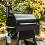 Traeger Pro Series 575 Pellet Grill | Williams Sonoma