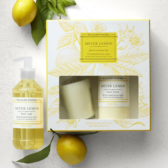 https://assets.wsimgs.com/wsimgs/ab/images/dp/wcm/202340/0033/williams-sonoma-meyer-lemon-guest-set-o.jpg