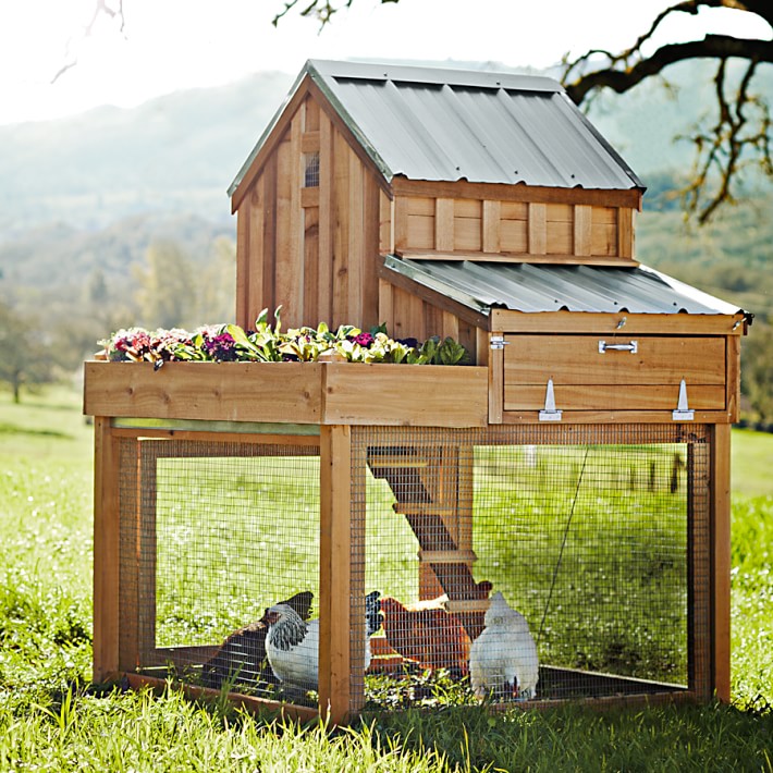 midtergang montage lille Cedar Chicken Coop & Run with Planter | Williams Sonoma
