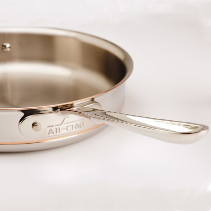 Williams Sonoma Gift with Purchase All-Clad Oval 15 Baker with