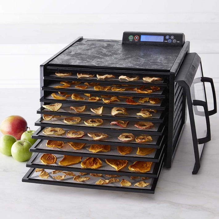 Excalibur 10 Tray Commercial Food Dehydrator with Two 99-Hour Timers,  Stainless Steel