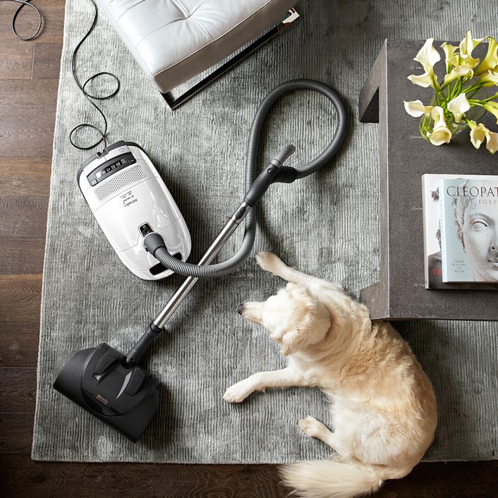 Miele Complete C3 Cat & Dog Vacuum Cleaner | Williams Sonoma