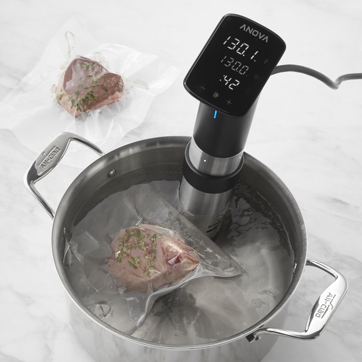 Anova Culinary Black Sous Vide Controller in the Specialty Small
