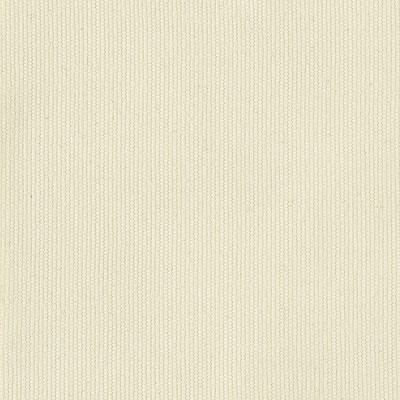 Fabric By The Yard, Performance Canvas, White