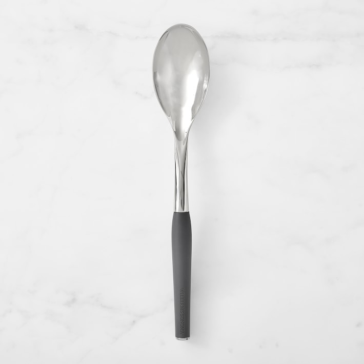 Williams Sonoma Steel Spoon