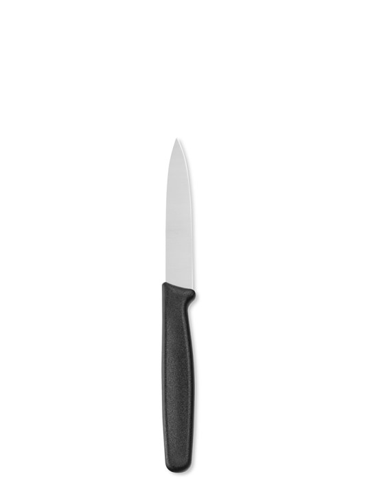 Victorinox Fibrox Pro Paring Knife, 3 1/2&quot;