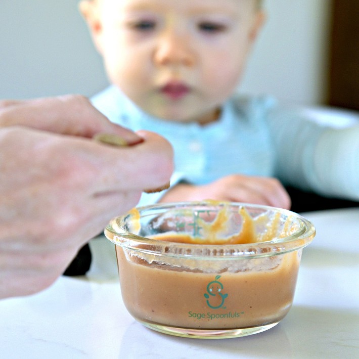 10-Piece Baby Food Maker Set with Glass Baby Food Containers - Sage  Spoonfuls