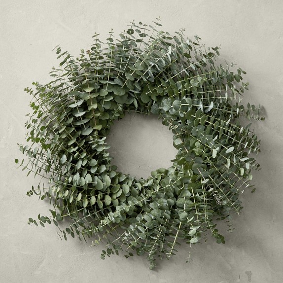 Baby Eucalyptus Door Wreath | Williams Sonoma