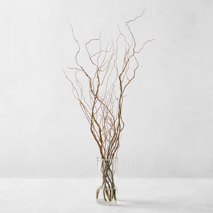 Soft Willow Twig Garland, Electric Willow Branch