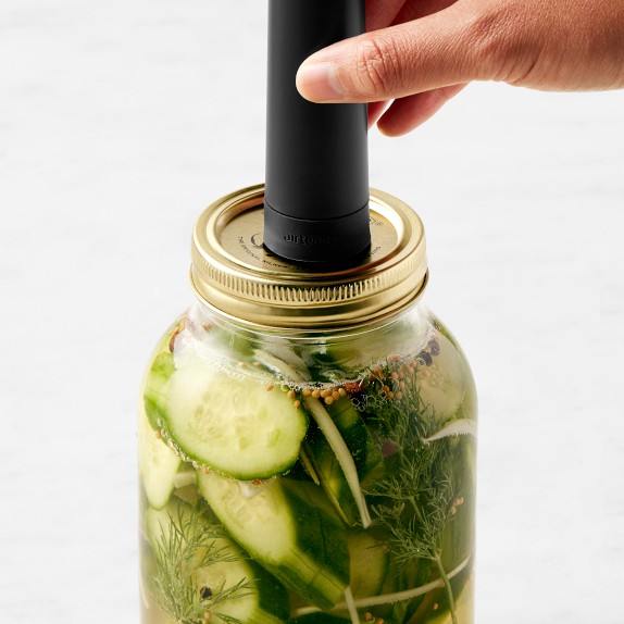 Airtender® Manual Air Pressure and Vacuum Sealer Set Williams Sonoma