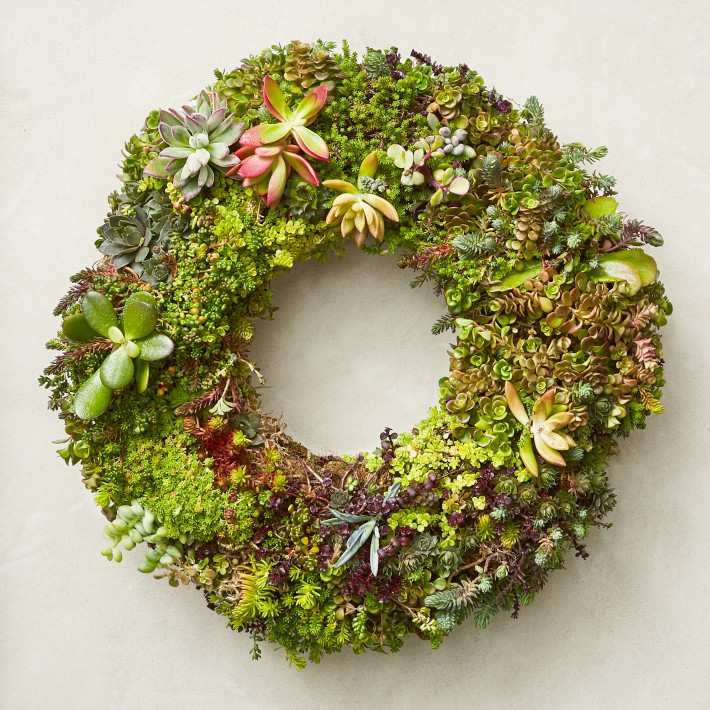 Succulent Live Wreath &amp; Centerpiece