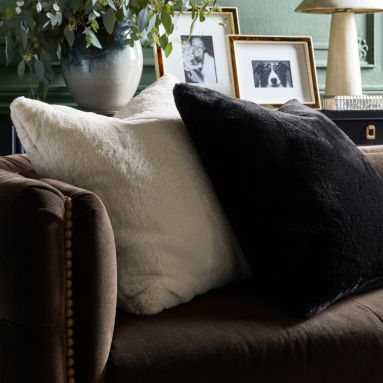 William sonoma shop decorative pillows