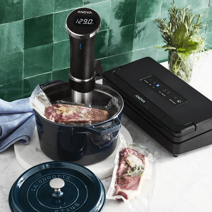 https://assets.wsimgs.com/wsimgs/ab/images/dp/wcm/202345/0025/anova-precision-cooker-with-wi-fi-sealer-pro-o.jpg
