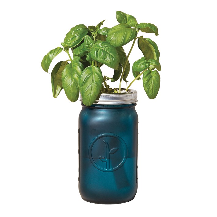 Modern Sprout Garden Jar (Mint)