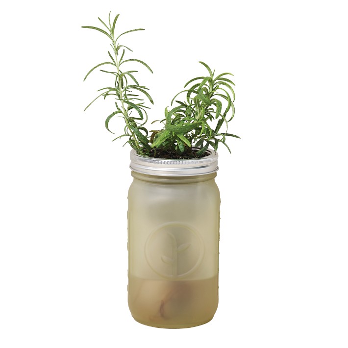 https://assets.wsimgs.com/wsimgs/ab/images/dp/wcm/202346/0034/modern-sprout-garden-jar-2-o.jpg