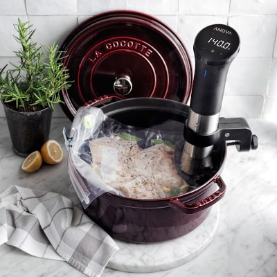 Williams Sonoma Anova Precision® Cooker 3.0 with Wi-Fi + Vacuum