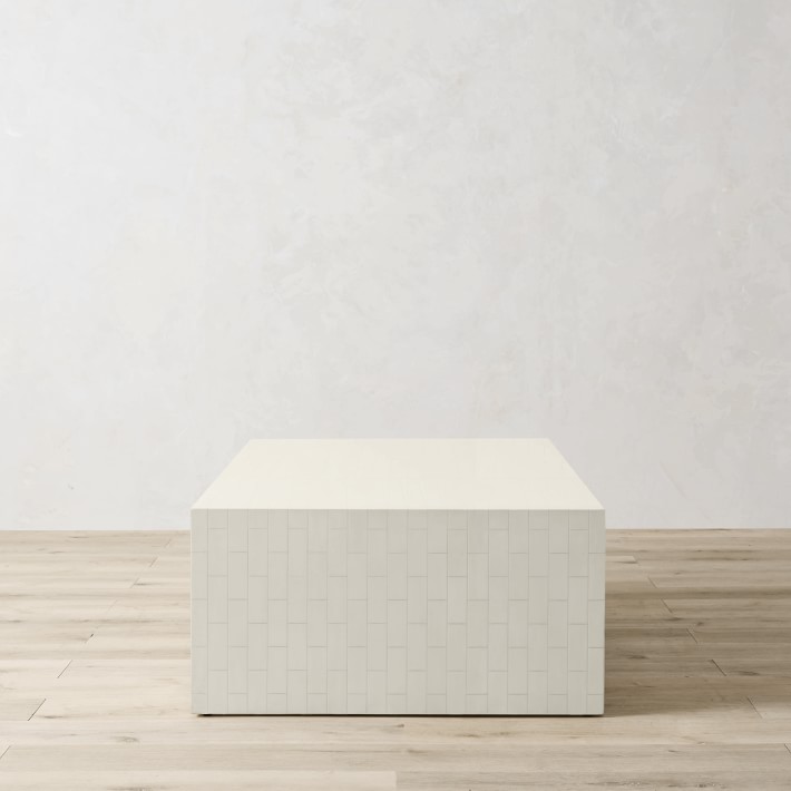 https://assets.wsimgs.com/wsimgs/ab/images/dp/wcm/202350/0013/faux-bone-rectangular-coffee-table-56-o.jpg