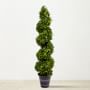 4' Faux Boxwood Spiral Indoor/Outdoor Topiary with Planter
