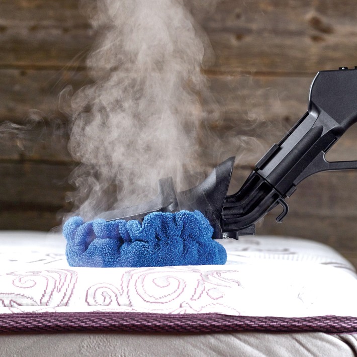 Dupray Tosca Steamer Cleaner Williams Sonoma