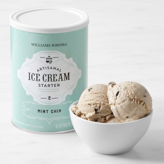 Williams Sonoma Ice Cream Starter Mint Chip Homemade Ice Cream