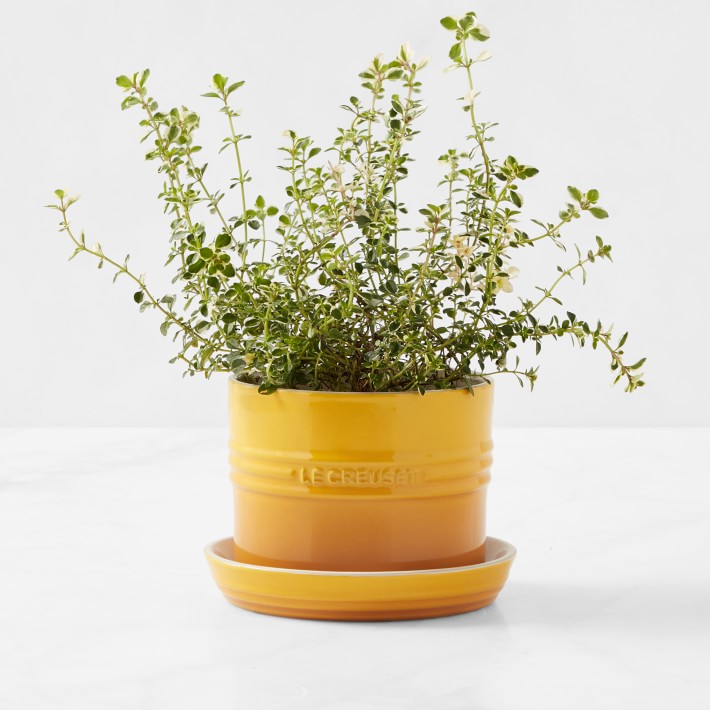 Le Creuset Herb Planter with Tray (Nectar)