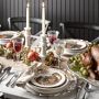 Plymouth Turkey Dinner Plates