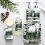 Williams Sonoma Winter Forest Essential Oils Collection