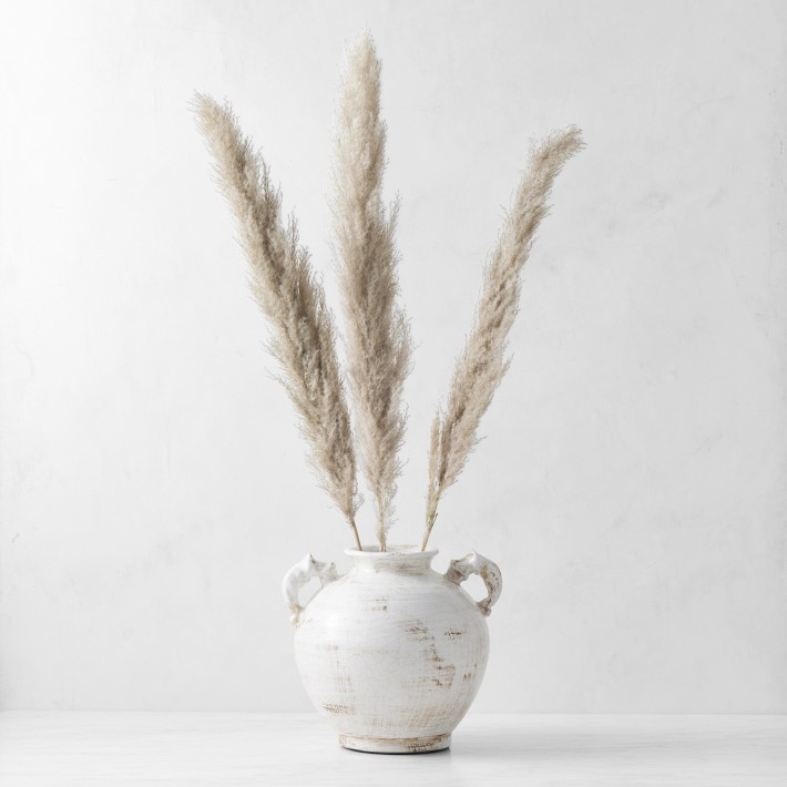 Dried Pampas Bunch, Set of 3