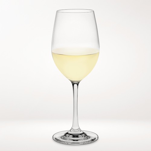 Open Kitchen by Williams Sonoma White Wine Glasses, Set of 4