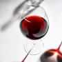 Williams Sonoma Reserve Pinot Noir Wine Glasses