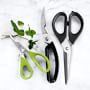 Williams Sonoma Poultry Shears