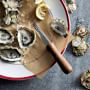 Williams Sonoma Oyster Knife