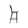 Ton 14 Caned Dining Counter Stool
