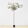 7.9' Faux Olive Tree in Plastic Pot, 1,500 Leaves