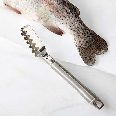 Paderno Stainless-Steel Fish Descaler, Seafood Tools