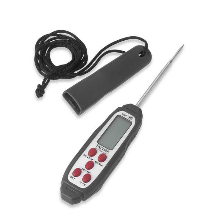 Taylor Outdoor Pen Thermometer