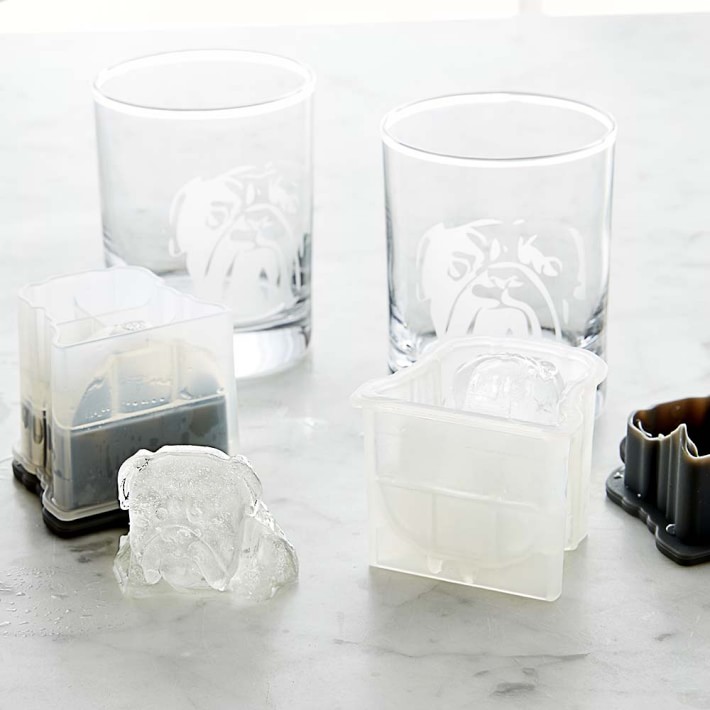 Bulldog Etched Glass & Ice Mold Set