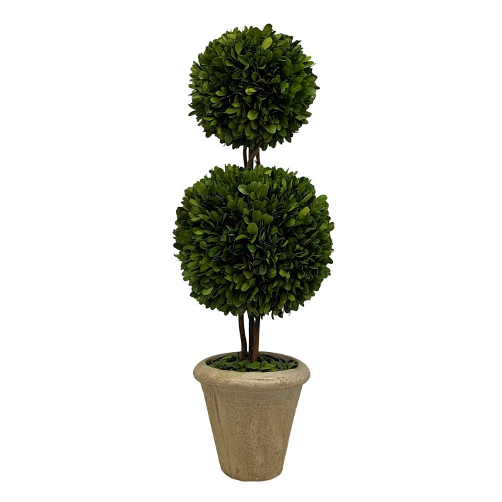Preserved Boxwood Cone &amp; Ball Topiary