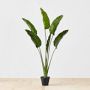 5' Faux Bird of Paradise Plant in Plastic Pot, 10 Leaves