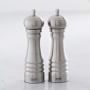 Trudeau Stainless-Steel Pro Salt and Pepper Set