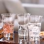 Everyday Baccarat Mixed Highball Glasses, Set of 6