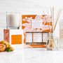 Williams Sonoma Sunny Orange Citrus Kitchen Essentials Kit