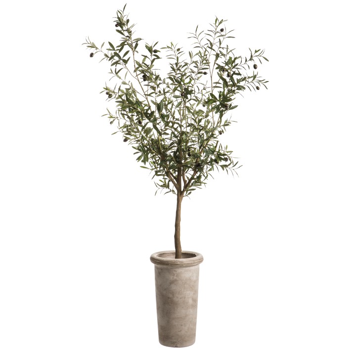 Faux Olive Tree in Cement Planter, 6'-8'