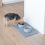 Dorai Home Dog Stone &amp; Dog Bowls Set