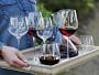 Video 1 for Williams Sonoma Estate Champagne Wine Glasses