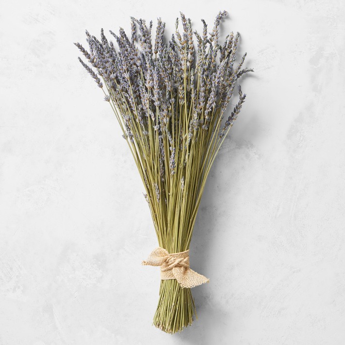 Lavender Swag | Williams Sonoma