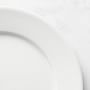 Apilco Tr&#232;s Grande Porcelain Dinner Plates