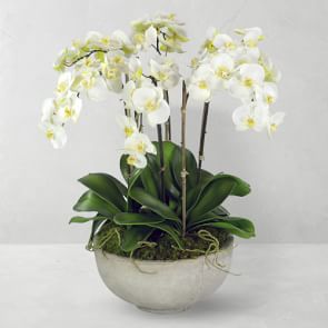 Faux Orchids in Planter, 28